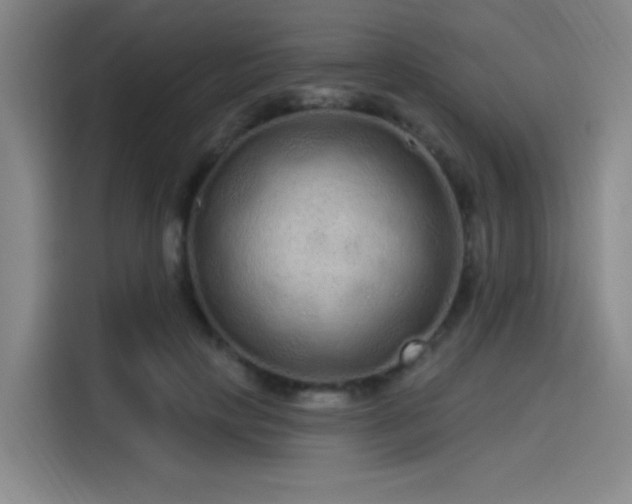 X0000114200649200910161226