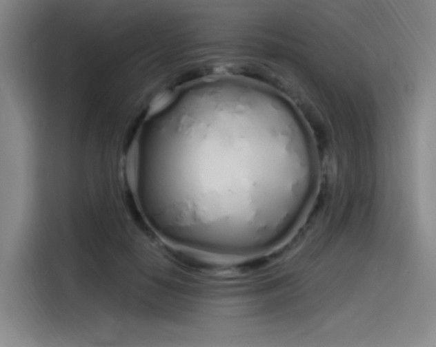 X0000114200650200910161226