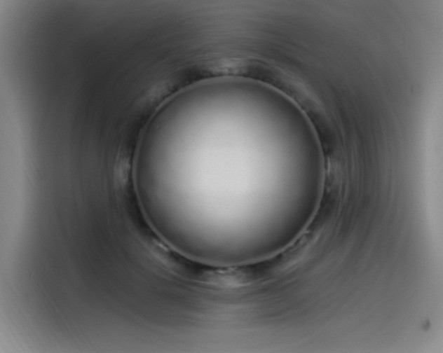 X0000114200652200910161226