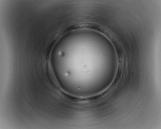 X0000114200653200910161226