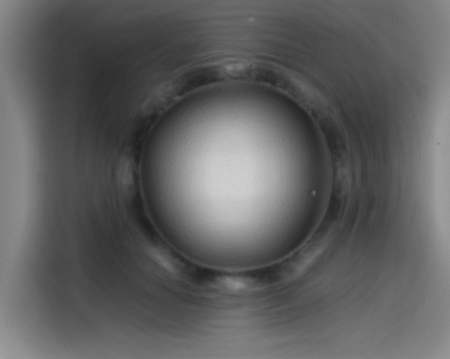 X0000114200654200910161226