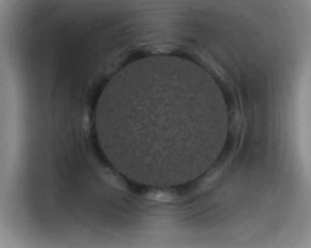 X0000114200655200910161226