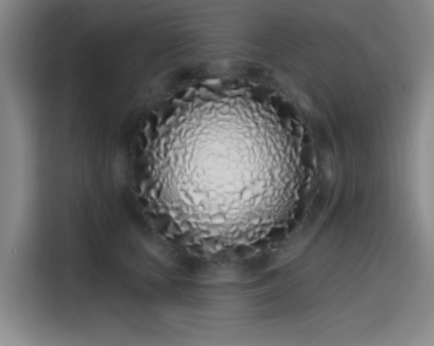 X0000114200659200910161226