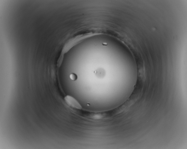 X0000114200662200910161226