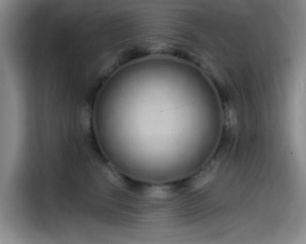 X0000114200664200910161226