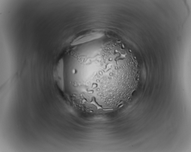 X0000114200668200910161226