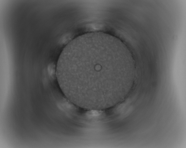 X0000114200672200910161226