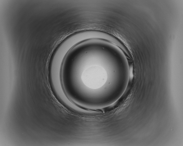 X0000114200673200910161225