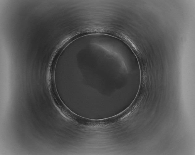 X0000114200674200910161225