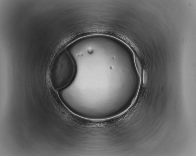 X0000114200675200910161225