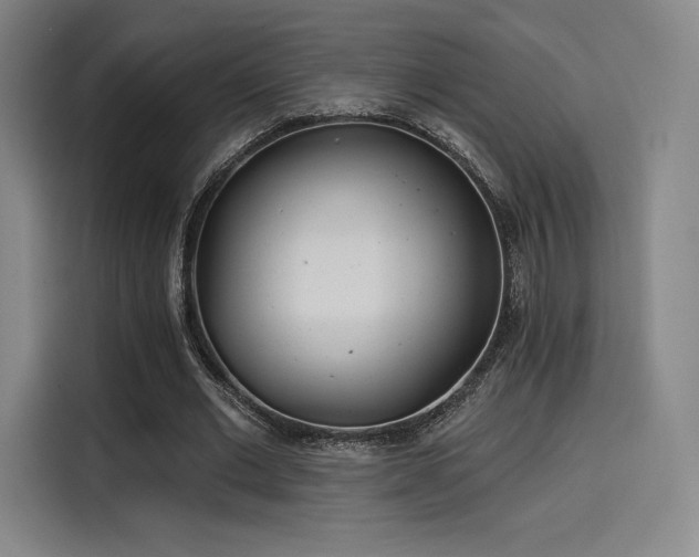 X0000114200677200910161225