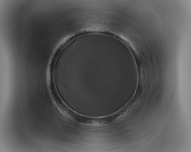 X0000114200678200910161225