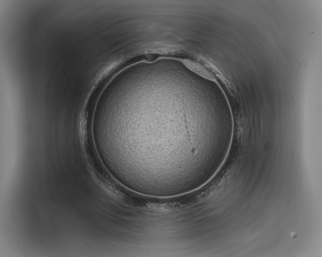 X0000114200679200910161225