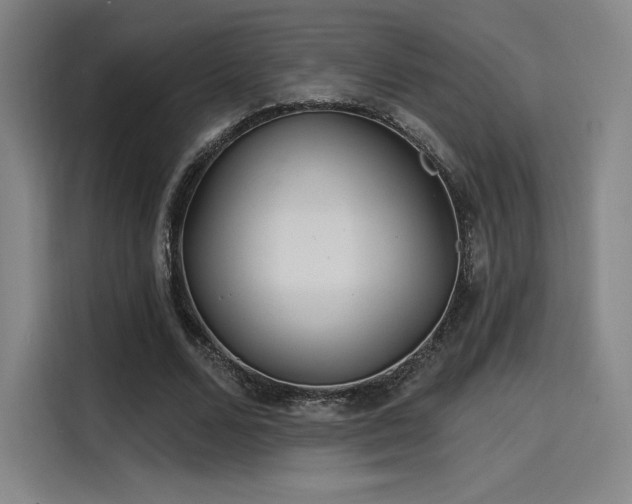 X0000114200680200910161225