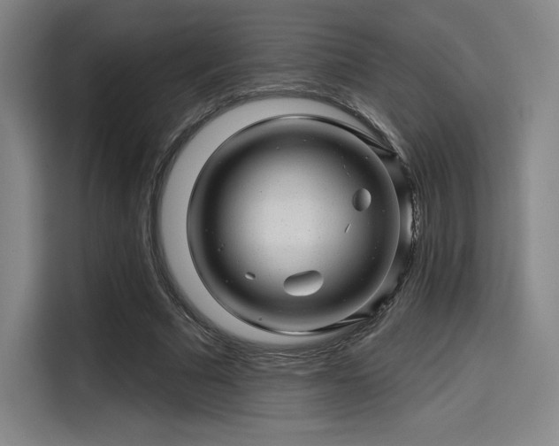 X0000114200681200910161225