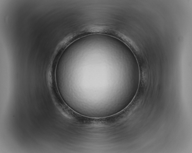 X0000114200682200910161225