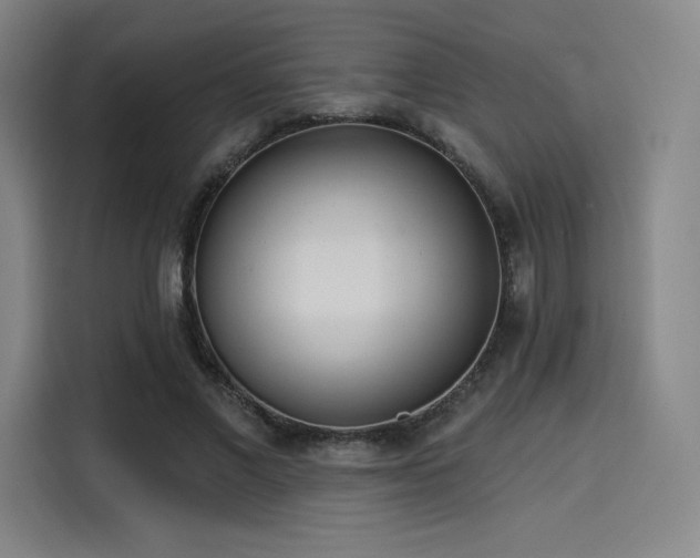 X0000114200685200910161225