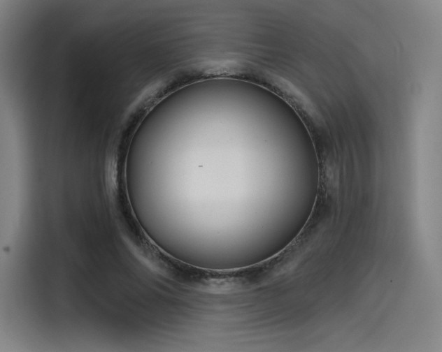 X0000114200686200910161225