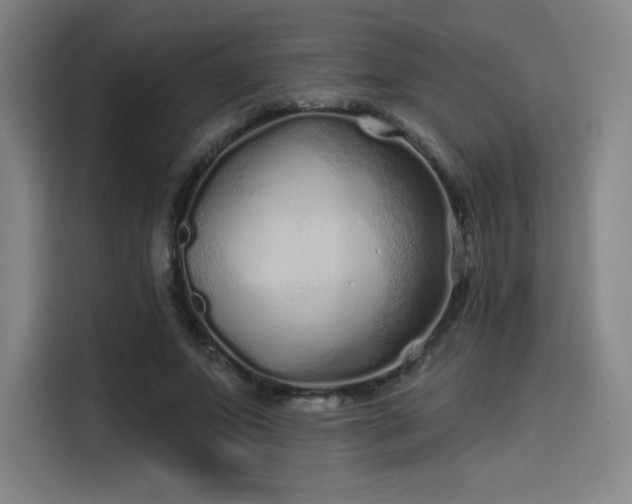 X0000114200687200910161225