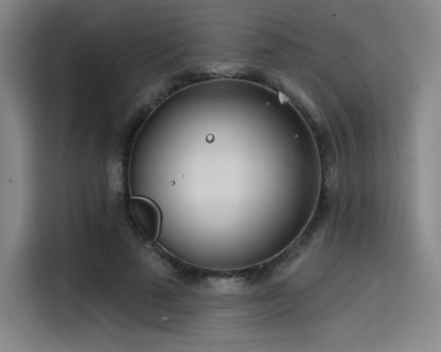 X0000114200689200910161225