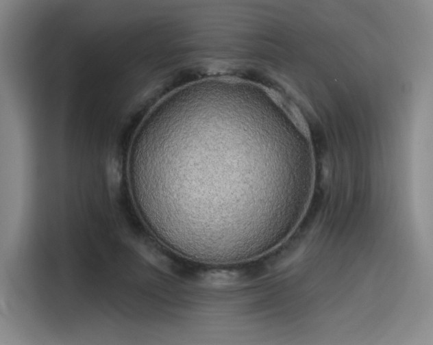 X0000114200691200910161225