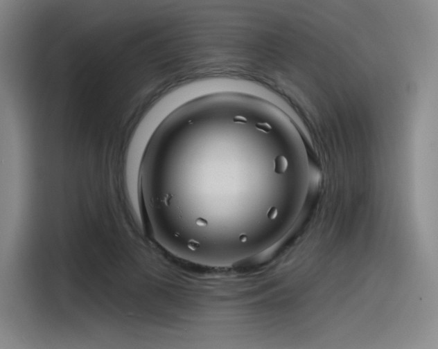 X0000114200693200910161225