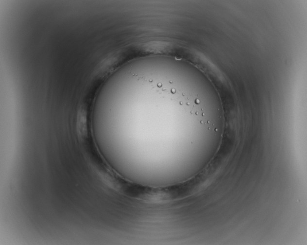 X0000114200696200910161225