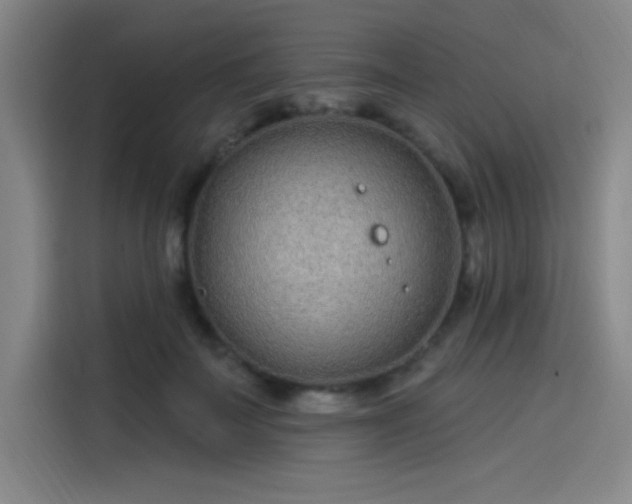 X0000114200699200910161225