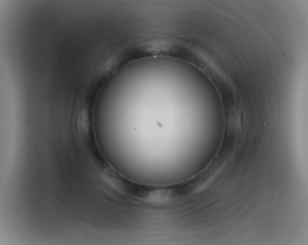 X0000114200700200910161225