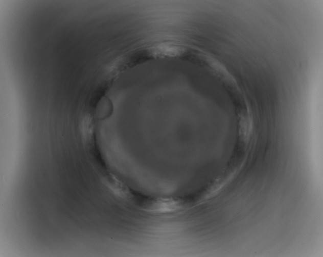 X0000114200701200910161225