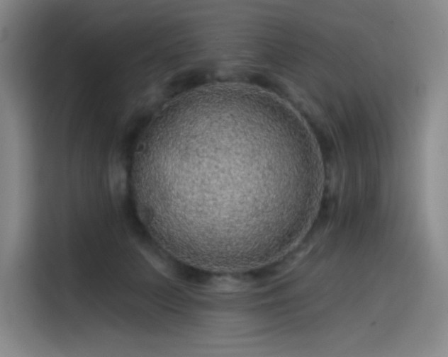 X0000114200703200910161225