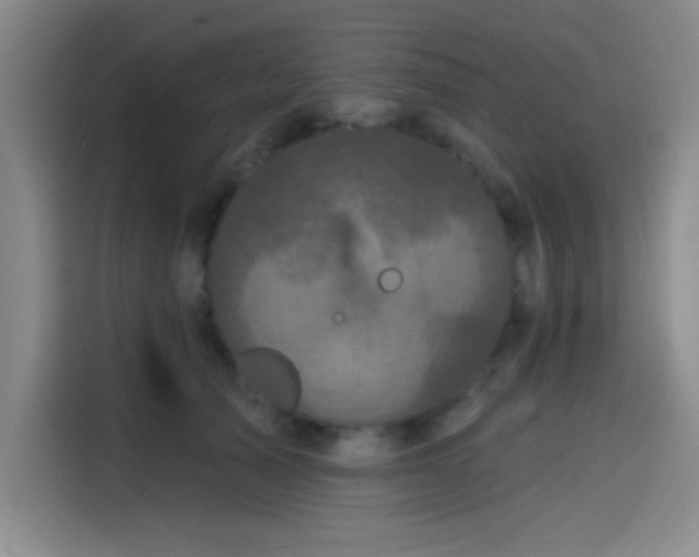 X0000114200705200910161225