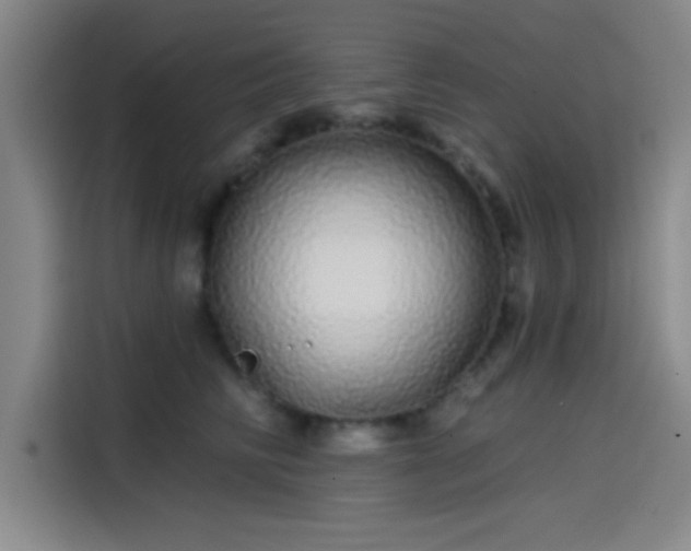 X0000114200710200910161225