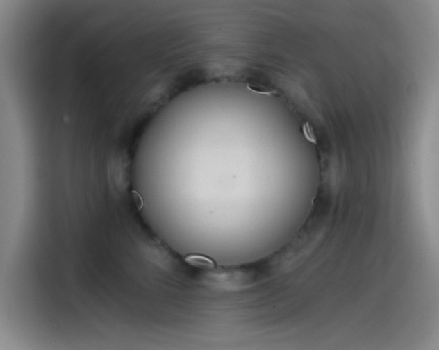 X0000114200712200910161225