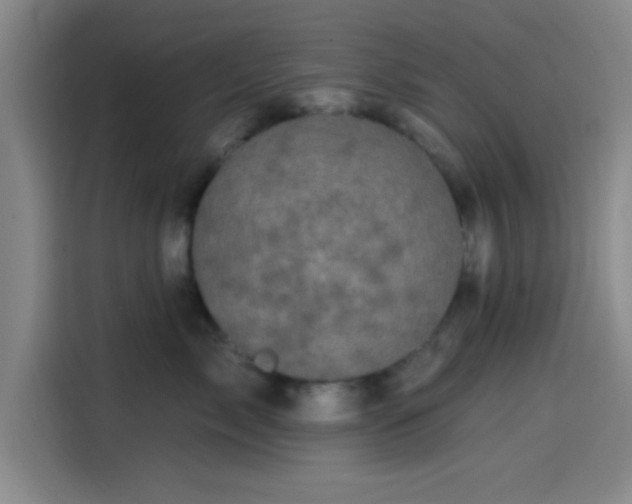 X0000114200717200910161225