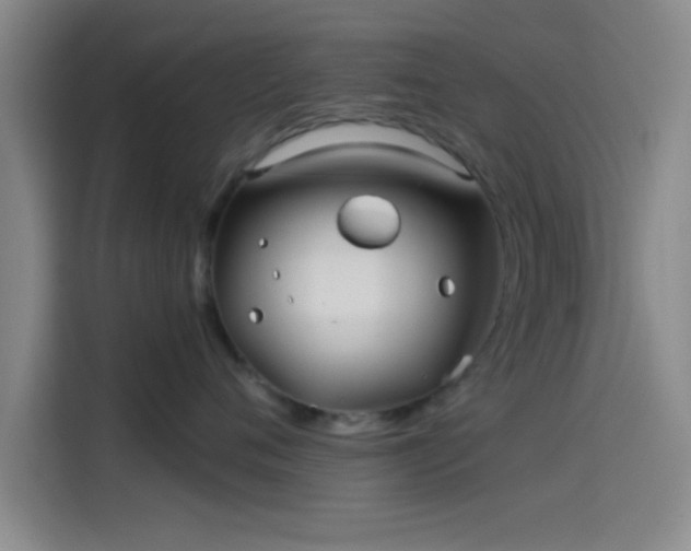 X0000114200720200910161225