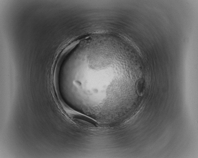 X0000114200721200910161224