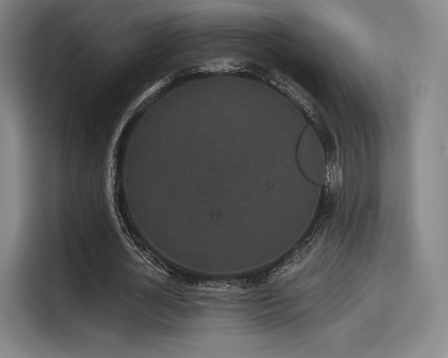 X0000114200724200910161224