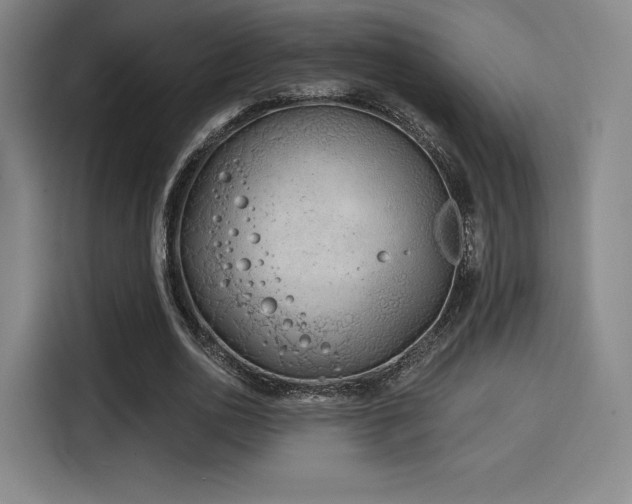 X0000114200726200910161224