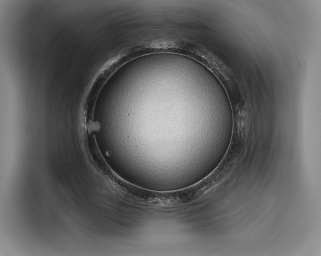 X0000114200727200910161224