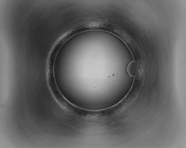 X0000114200728200910161224