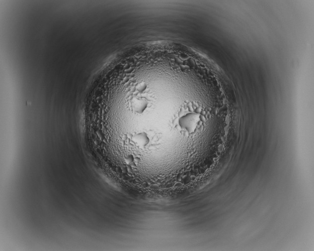 X0000114200729200910161224