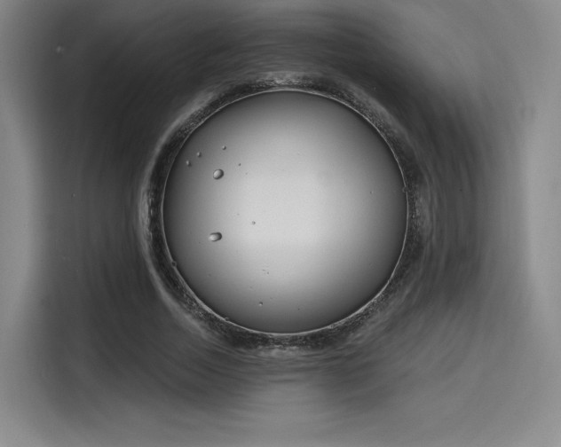 X0000114200730200910161224