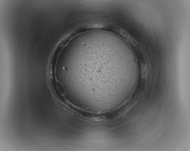 X0000114200731200910161224