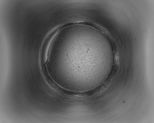 X0000114200732200910161224