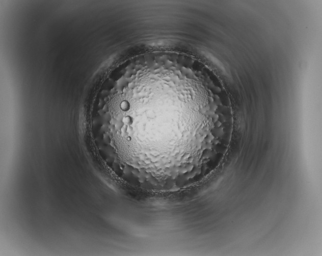 X0000114200733200910161224