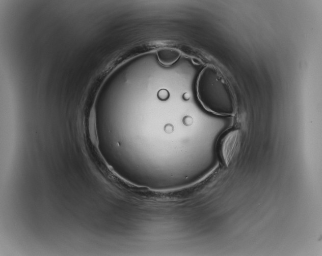 X0000114200734200910161224