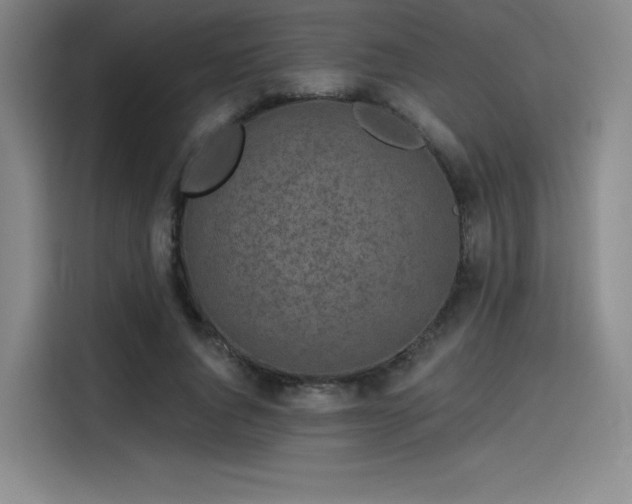 X0000114200736200910161224