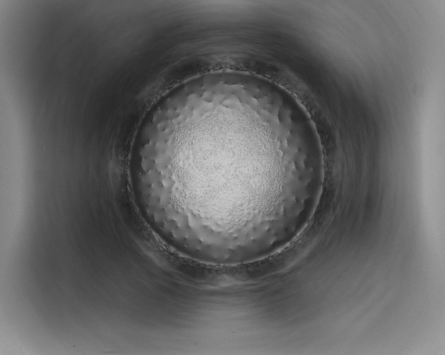 X0000114200737200910161224