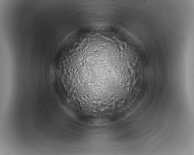 X0000114200741200910161224